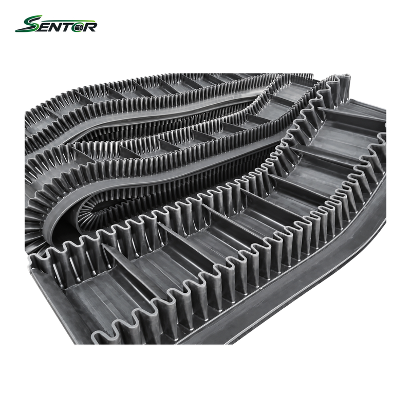 Sidewall Conveyor Belts — reference view 1